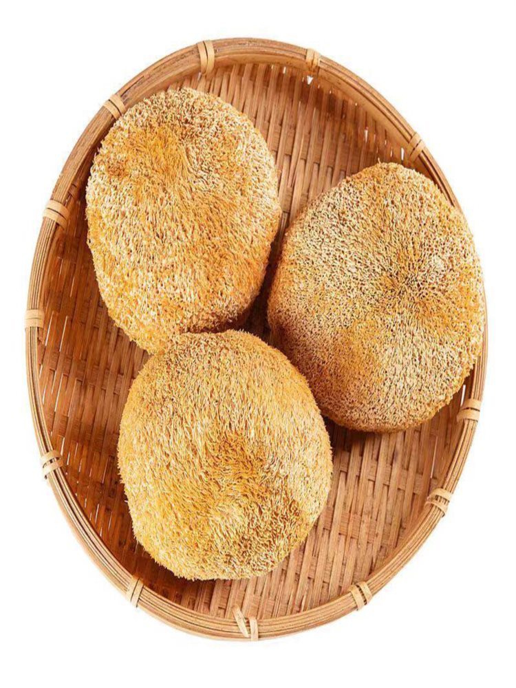猴头菇 500g 干货新鲜煲汤鲜美食用