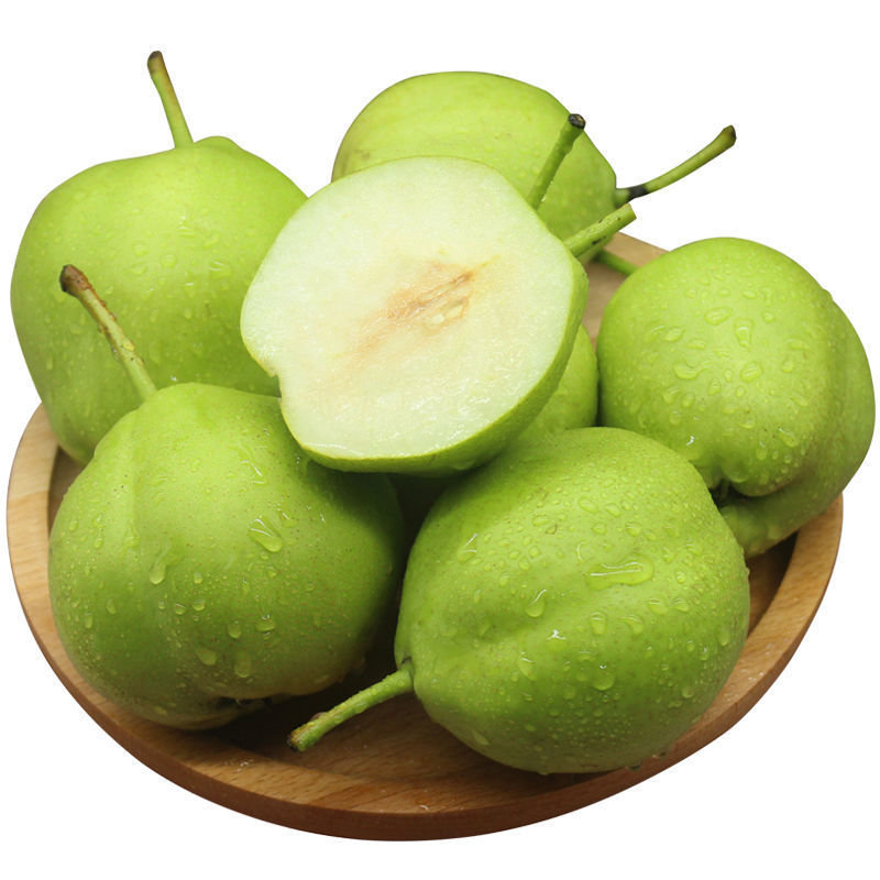 青皮早酥梨净重7斤,新鲜现摘,酥脆爽口,甘甜多汁,清喉润肺