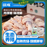 共同