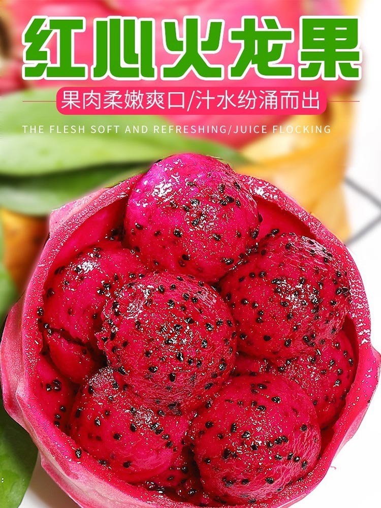 广西红心火龙果净重5斤大果 【单果6-8两】果肉嫩爽口 皮薄肉厚