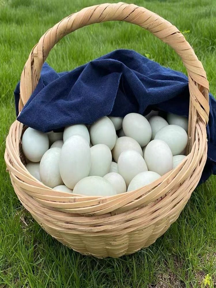 正宗农家散养青皮鸭蛋30枚装（单枚60g+）·统一