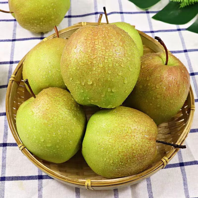 【河北特产】玉露香梨 净重约9斤 当季时令 新鲜水果