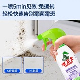 共同