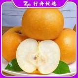 共同