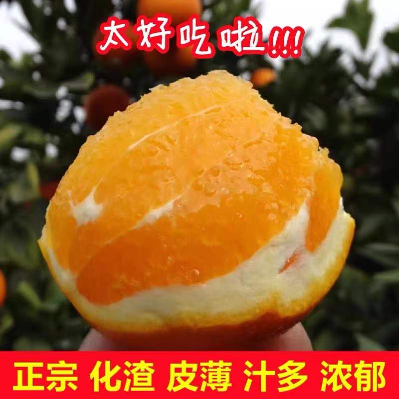 重庆-奉节·现摘脐橙特大果带箱10斤（80-85cm）细腻化渣·净重9.5斤左右