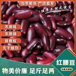 共同