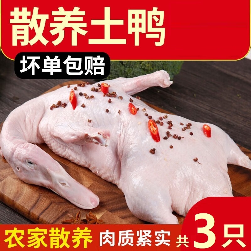 【山东生鲜馆】冷冻鸭子1250g*3只 煲汤食材鸭子肉 煲汤食材生鲜