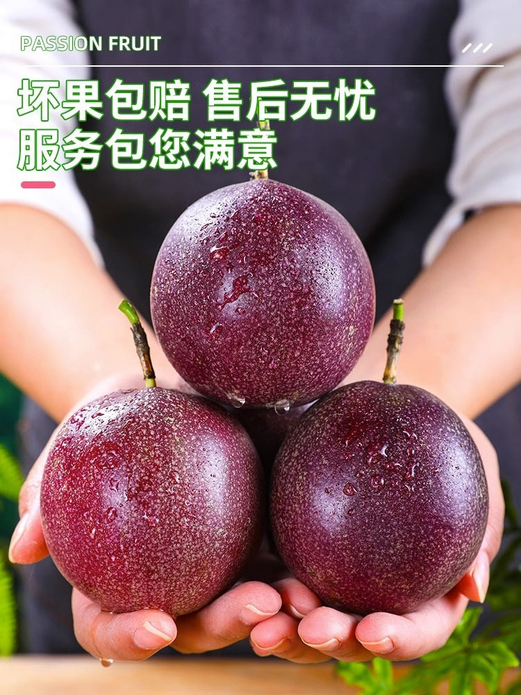 紫皮百香果净重5斤果王【单果80g+】果香浓郁 果粒饱满酸爽 做冷饮