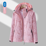 女粉