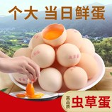 共同