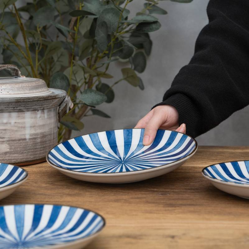 美浓烧（Mino Yaki）【日本进口】和风蓝绘冬十草陶瓷餐具套装10件套