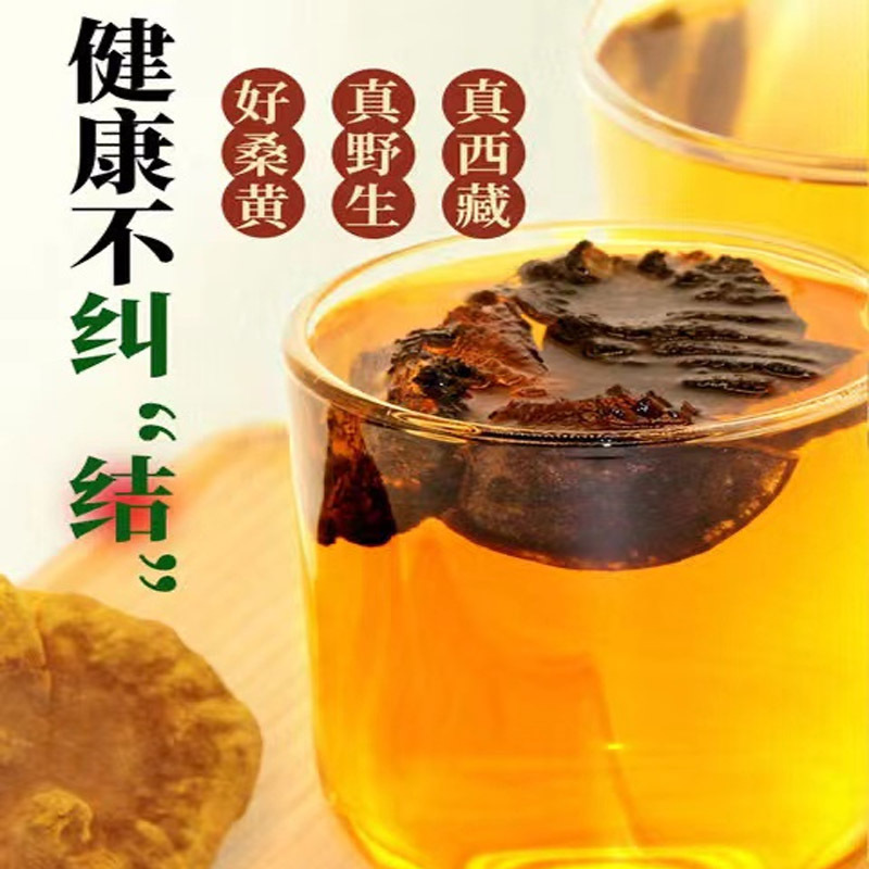 西藏·野生桑树桑黄500g（30-35年）【打粉需备注】