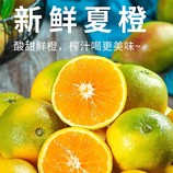 共同