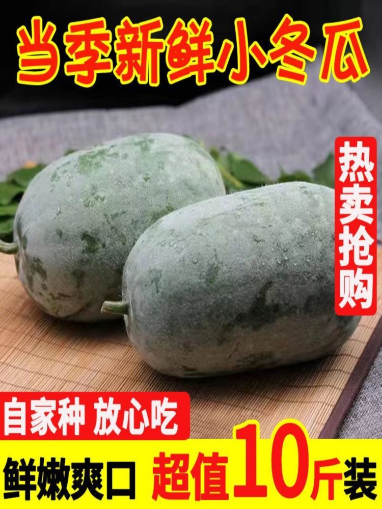 【精选好瓜】高原小冬瓜 9-9.8斤 一串铃粉皮迷你云南小冬瓜当季新鲜蔬菜
