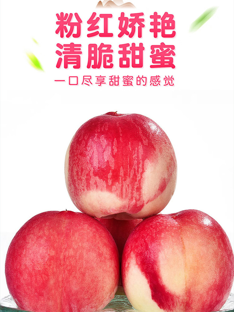 陕西蜜桃【小红桃】改为发净重4.5-5斤【12-16个】