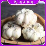 共同