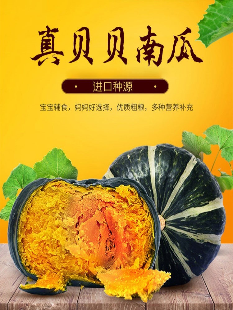 广西贝贝南瓜净重8.5斤约10-18个