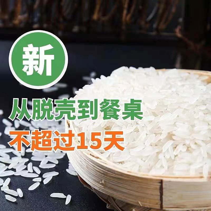 四川蟹田稻米丝苗米珍珠大米10斤