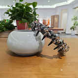 F11900绿色