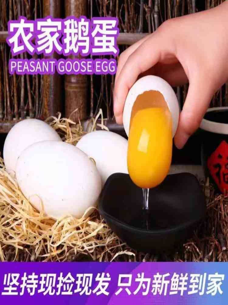 新鲜土鹅蛋 12枚 （100-120g）/枚 新鲜散养 家庭实惠装
