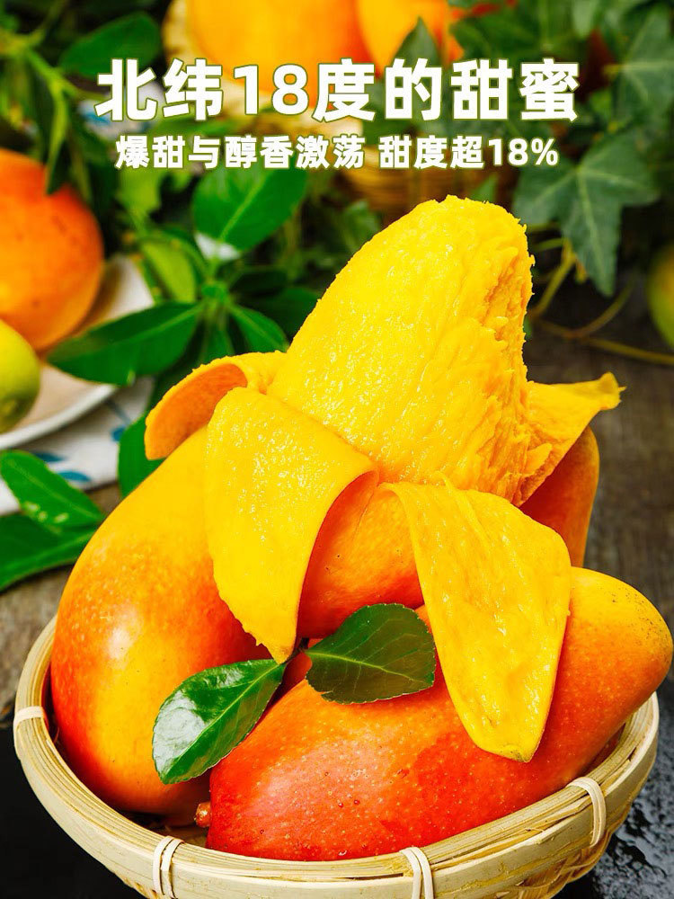 海南-贵妃芒9斤特大果(单果200g起)