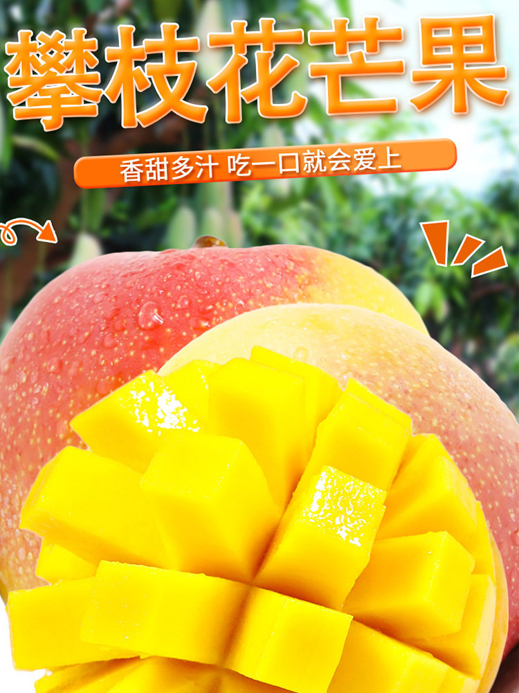 攀枝花彩虹芒果净重8.5斤【单果200g+】果肉肥厚香甜多汁（发7.8分熟，到货需催熟）