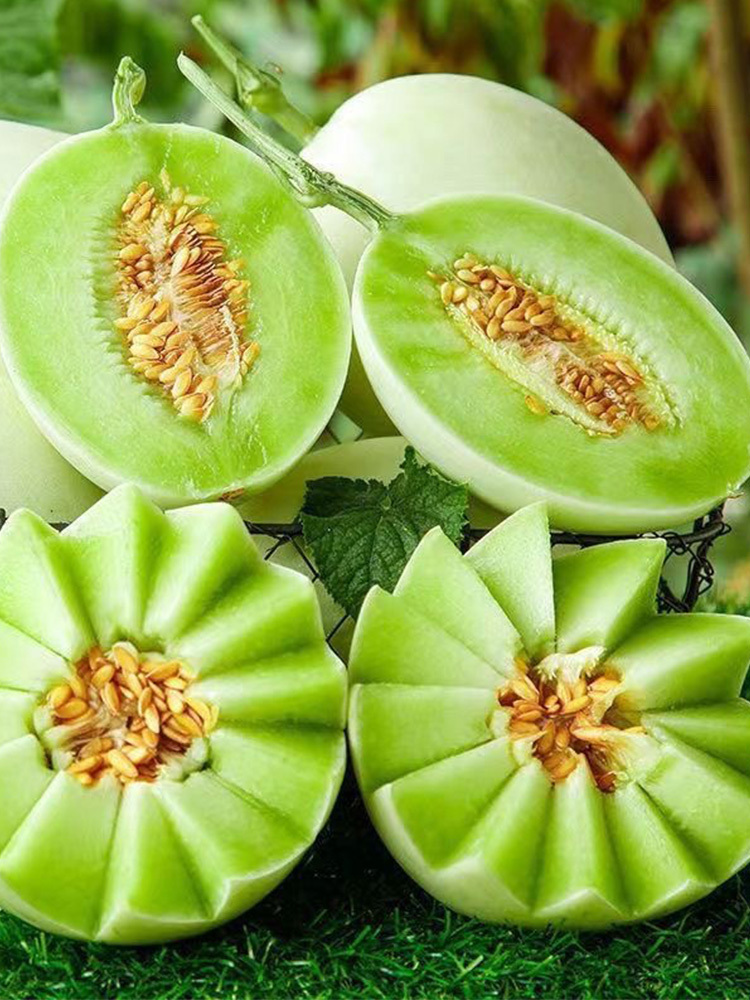 海南玉菇甜瓜·3斤【净重2.5-3斤】