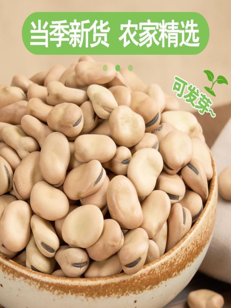新货云南生白蚕豆 3斤 青皮生蚕豆干货杂粮 罗汉豆胡豆