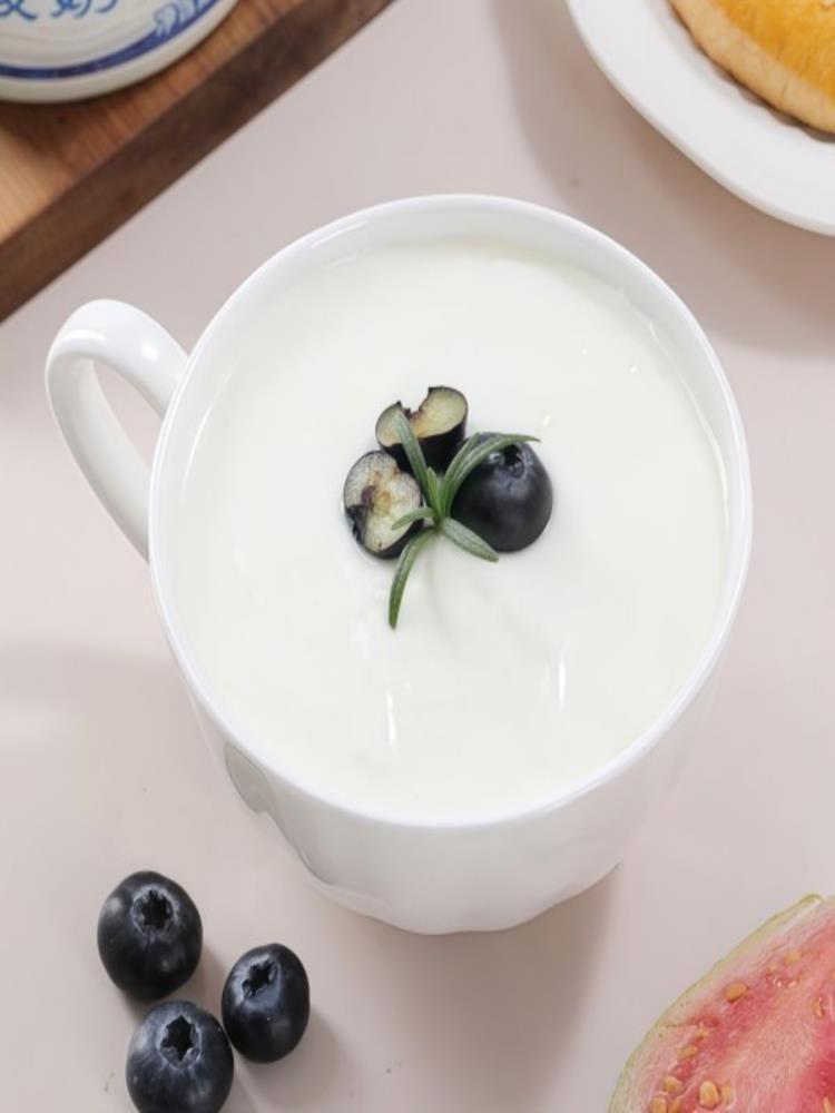 奶皮子酸奶 308g*3罐 酸奶 草原内蒙活菌 内蒙古特产 产地直发