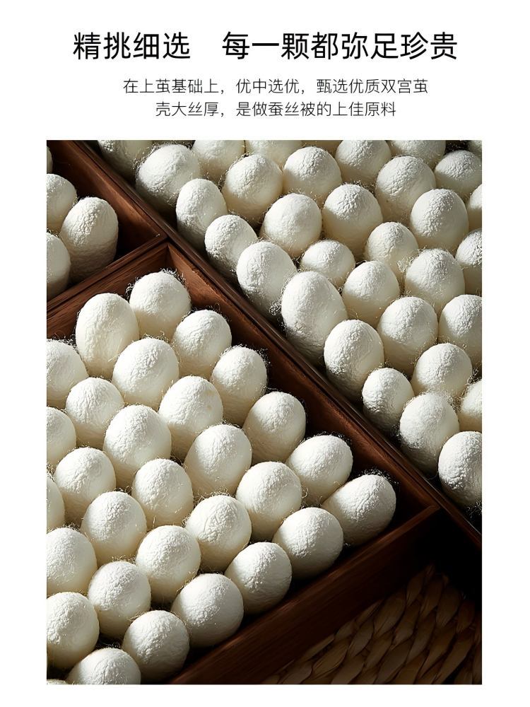 百年手工全棉贡缎蚕丝被（初冬款3斤）*·3斤