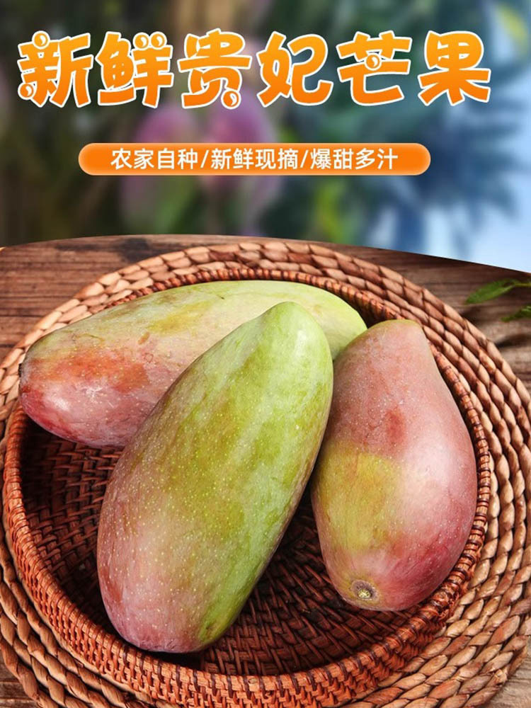 海南贵妃芒净重8斤特大果 香甜可口~发出的果子7-8分熟收到需要催熟