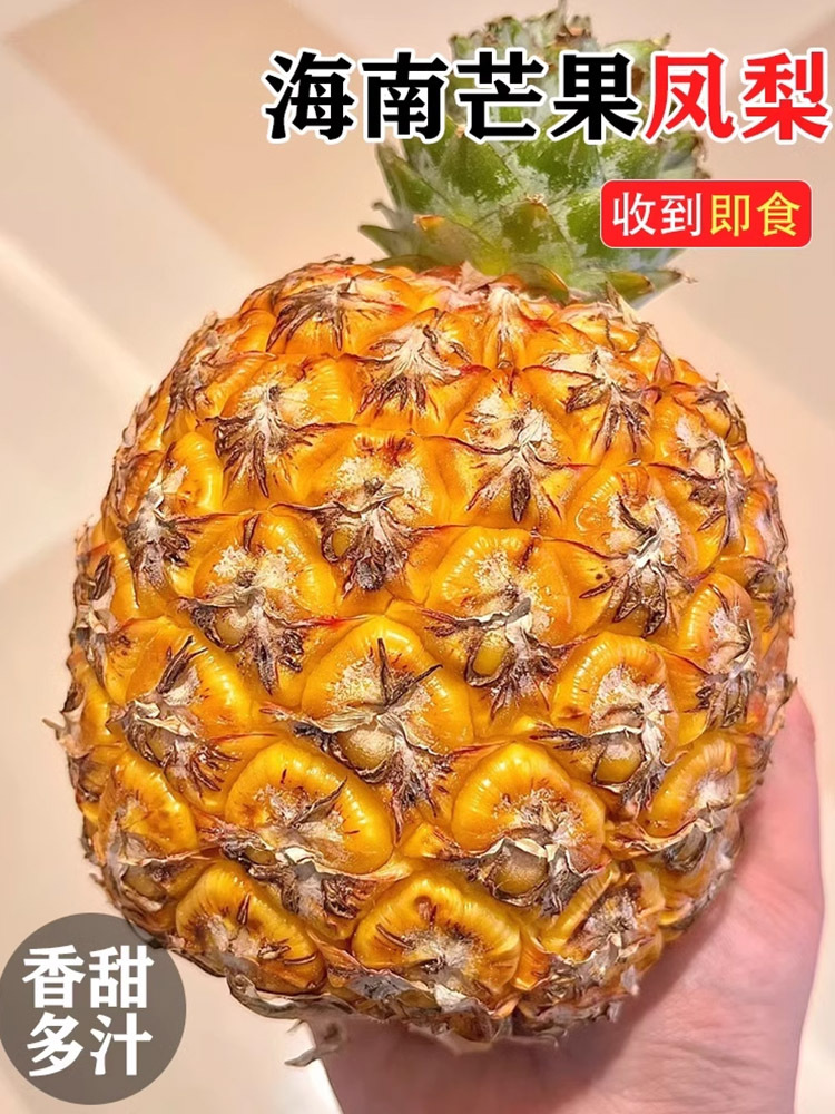 【源头生鲜水果】海南芒果凤梨新鲜现摘4.5-5斤装（3个）·无