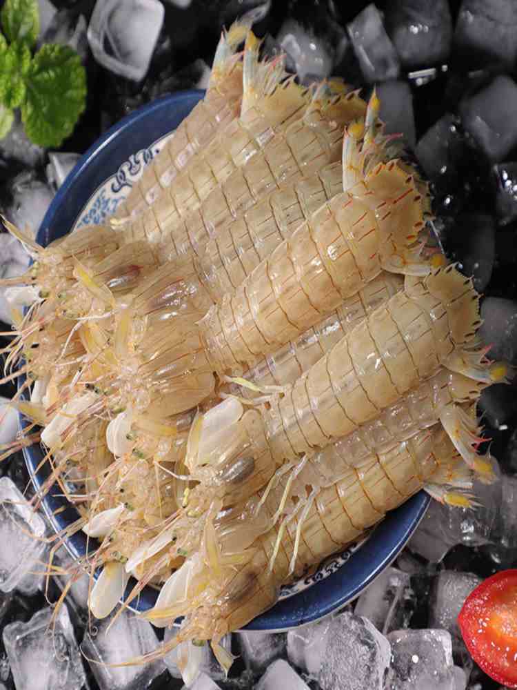中公皮皮虾 4斤 9-11cm/只 熟冻虾爬子 海鲜海虾 新鲜蒸熟