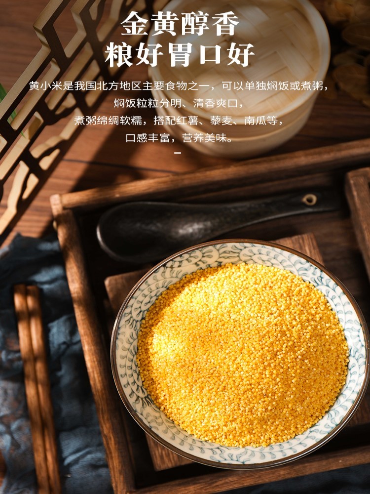 【辽西特产】 2.5kg朝阳黄金苗黄小米
