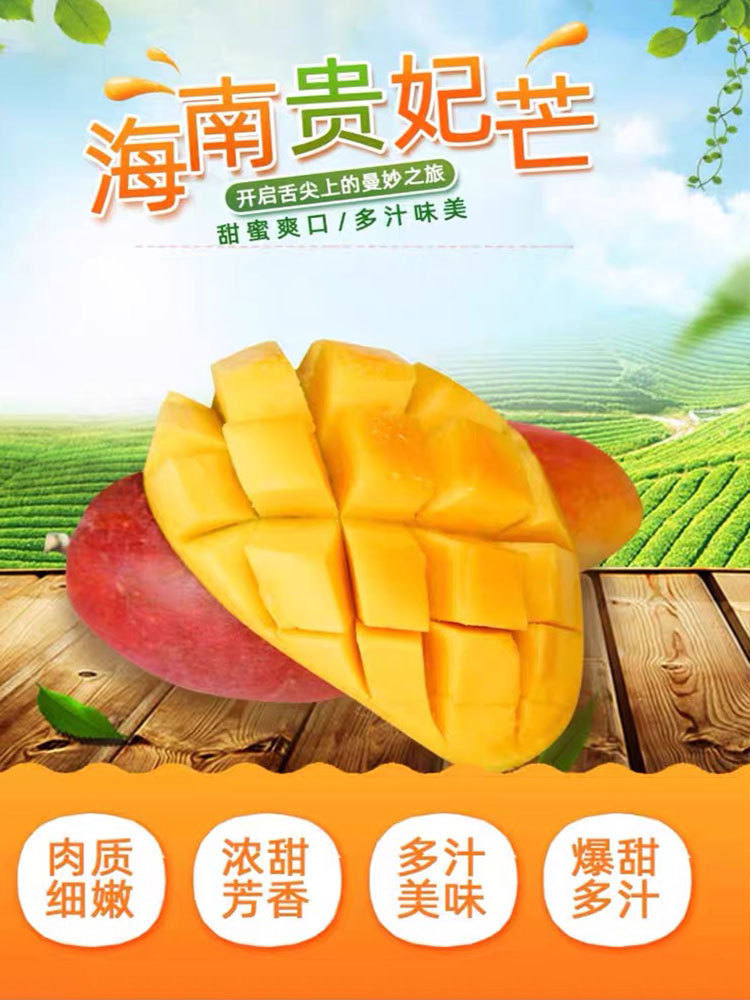 海南-贵妃芒9斤特大果(单果200g起)