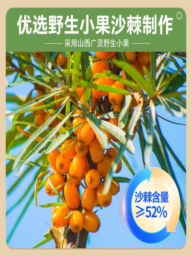 沙棘果泥 100g*3袋 沙棘小果含维C山西特产