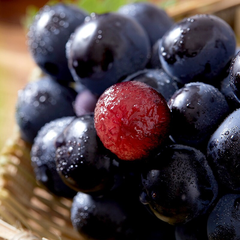 云南精选夏黑葡萄 多汁无核清甜爽嫩黑葡萄3斤装