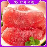 共同