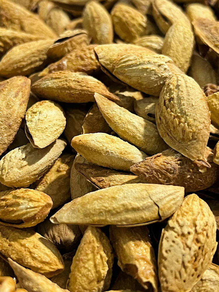 【拍一发二】2025新疆莎车老品种巴旦木500g/袋