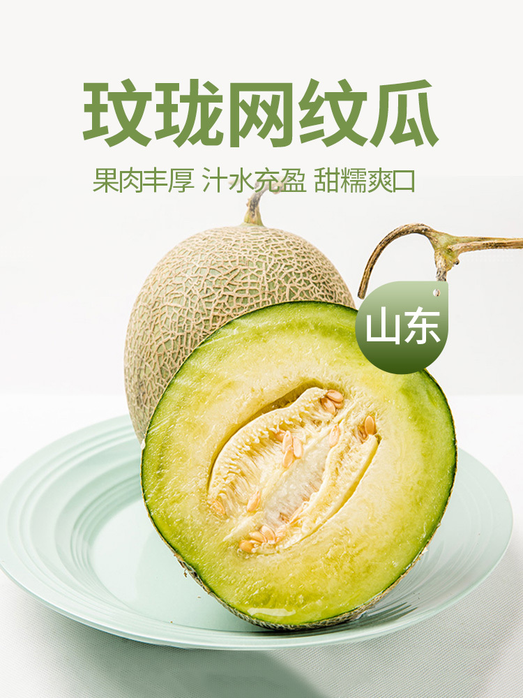 山东聊城网纹瓜5斤【净重4.5-5斤】