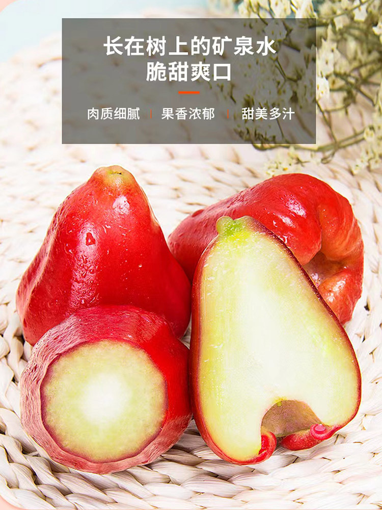 【应季新鲜水果】海南精品黑金刚莲雾分享装3斤（20个左右）·无