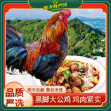 共同