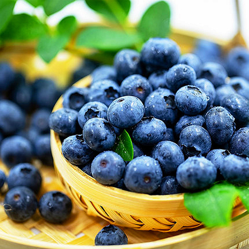 【(买4盒发6盒)山东大蓝莓125g/盒*4盒(果径:15mm ,顺丰包邮)】-惠买-