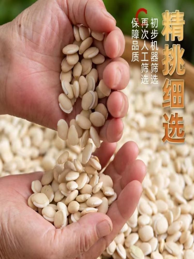 正宗白扁豆 3斤 农家自种 正宗炒熟药用云南煮粥薏仁粳米粥老品种