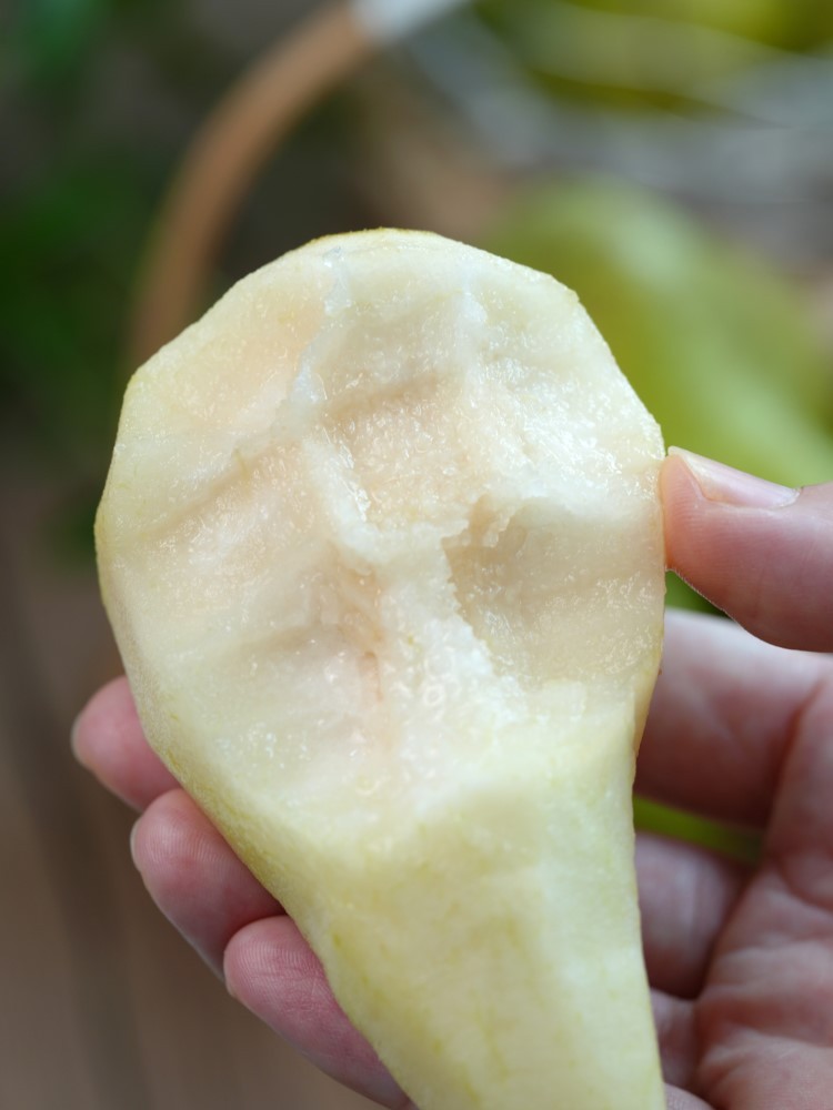 吃软不吃硬荷兰啤梨大果6粒/单果172g-194g