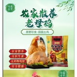 共同