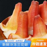 共同