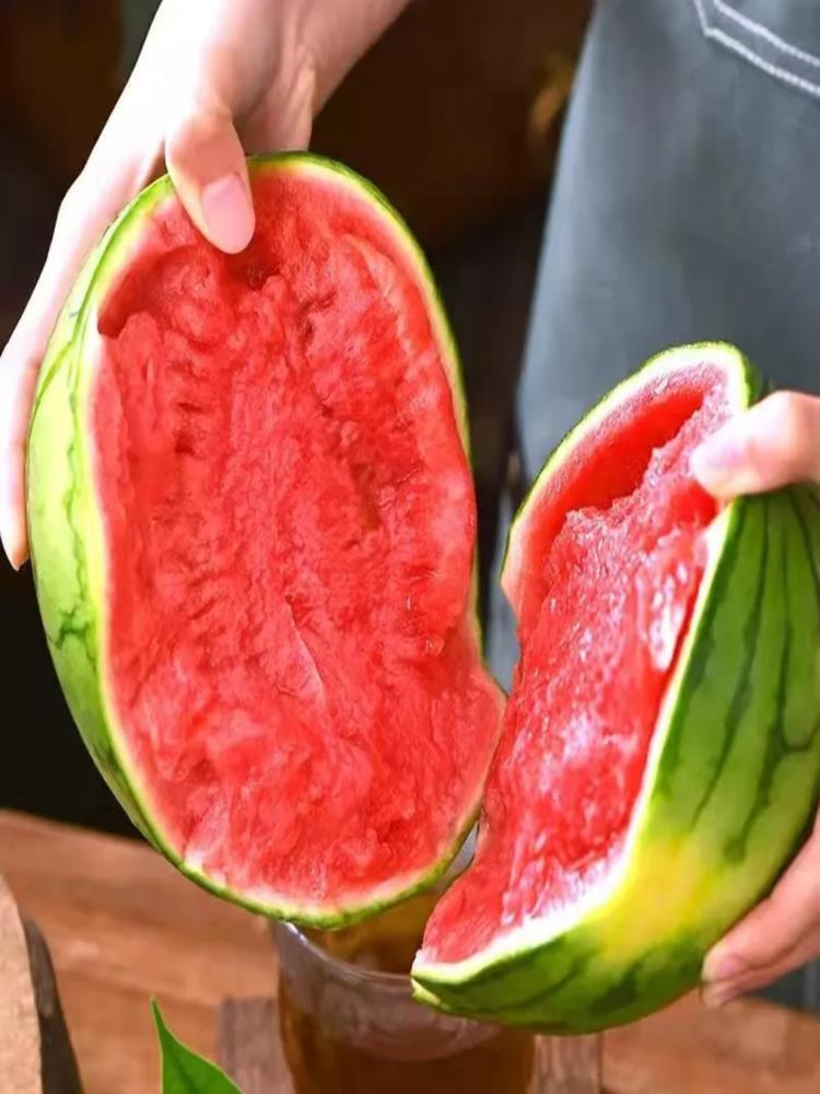 麒麟西瓜 净重7-8斤 大果 冰糖甜西瓜薄皮爽口应季新鲜水果