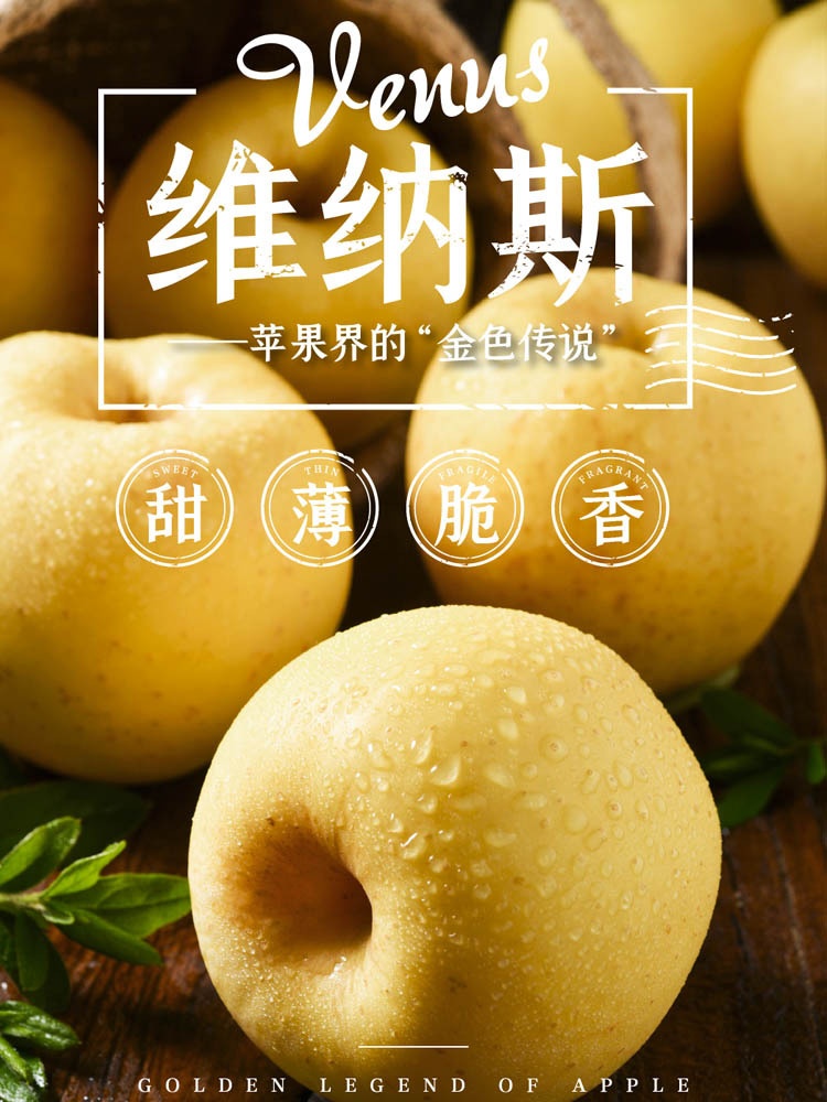 维纳斯黄金苹果4.5-5斤大果约9-12个