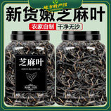 共同